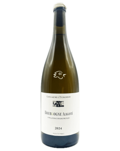 Guillaume L'Echanson - Bourgogne Aligoté 2024 - Avintures
