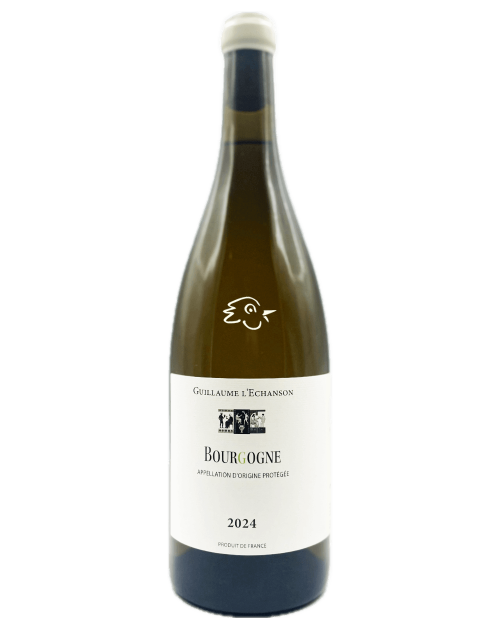 Guillaume L'Echanson - Bourgogne Blanc 2024 - Avintures