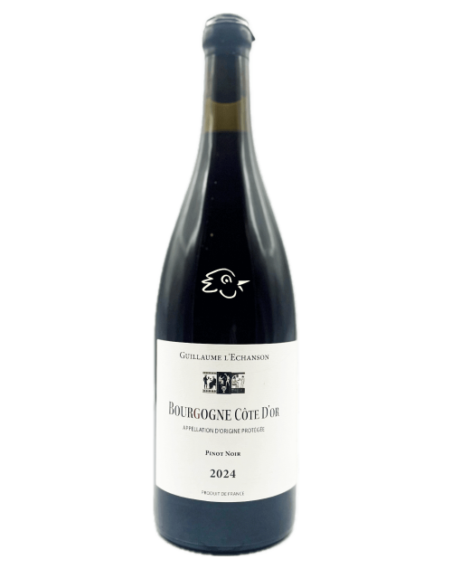 Bourgogne Côte d'Or 2024 - Guillaume L'Echanson - Avintures