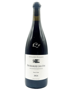 Bourgogne Côte d'Or 2024 - Guillaume L'Echanson - Avintures