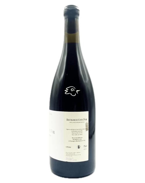 Bourgogne Côte d'Or 2024 - Guillaume L'Echanson - Avintures