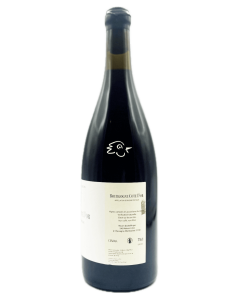 Bourgogne Côte d'Or 2024 - Guillaume L'Echanson - Avintures