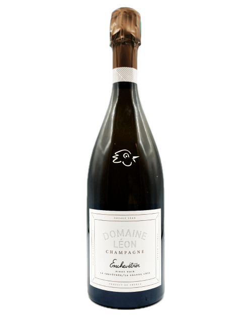Domaine Léon - Pinot Noir Enchevêtrer R21 Magnum - Avintures