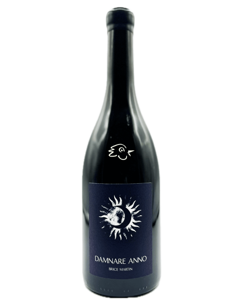 Brice Martin - Damnare Anno MMXXIV - Avintures
