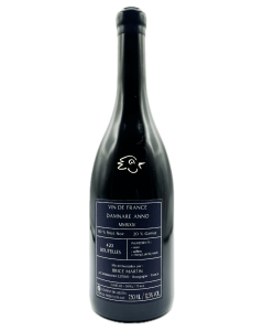 Brice Martin - Damnare Anno MMXXIV - Avintures