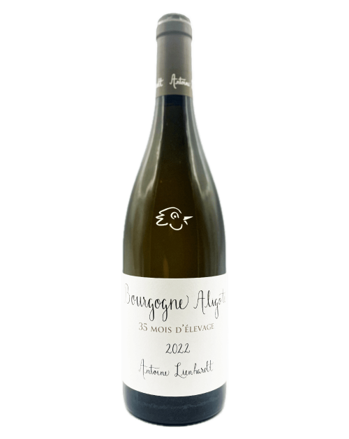 Antoine Lienhardt - Bourgogne Aligoté 35 mois 2022 - Avintures