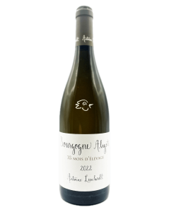 Antoine Lienhardt - Bourgogne Aligoté 35 mois 2022 - Avintures