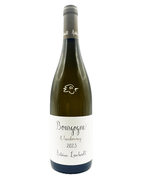 Antoine Lienhardt - Bourgogne Blanc 2023 - Avintures