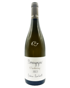 Antoine Lienhardt - Bourgogne Blanc 2023 - Avintures