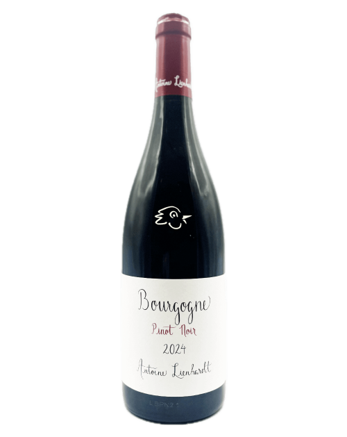 Antoine Lienhardt - Bourgogne Pinot Noir 2024 - Avintures