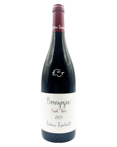 Antoine Lienhardt - Bourgogne Pinot Noir 2024 - Avintures
