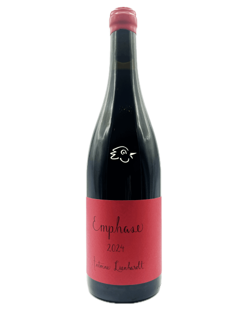 Antoine Lienhardt - CDN Emphase 2024 - Avintures