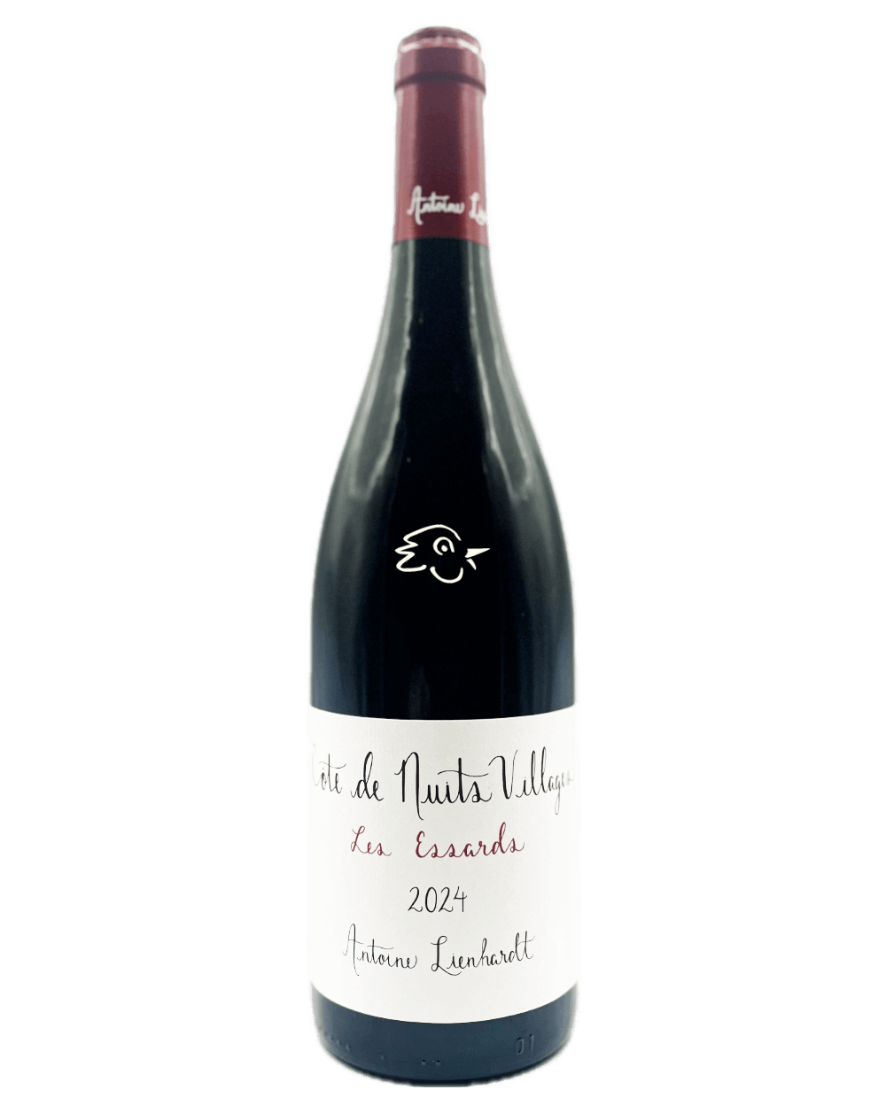 Antoine Lienhardt - CDN Les Essards 2024 - Avintures