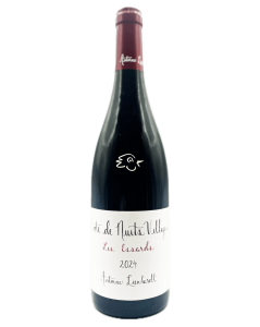 Antoine Lienhardt - CDN Les Essards 2024 - Avintures