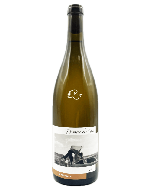 Domaine des Crais - Saint Véran Hippocrate 2024 - Avintures