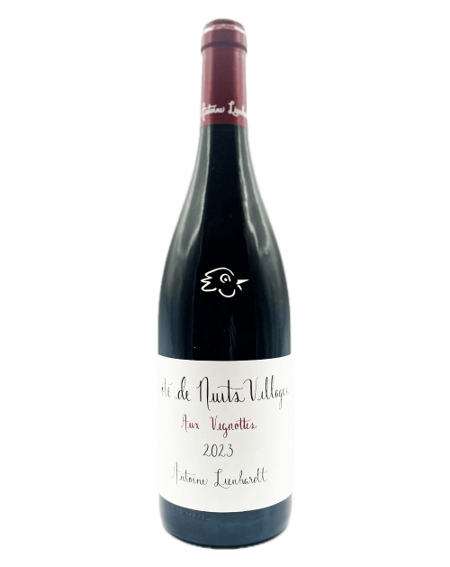 Antoine Lienhardt - CDN Aux Vignottes 2023 - Avintures