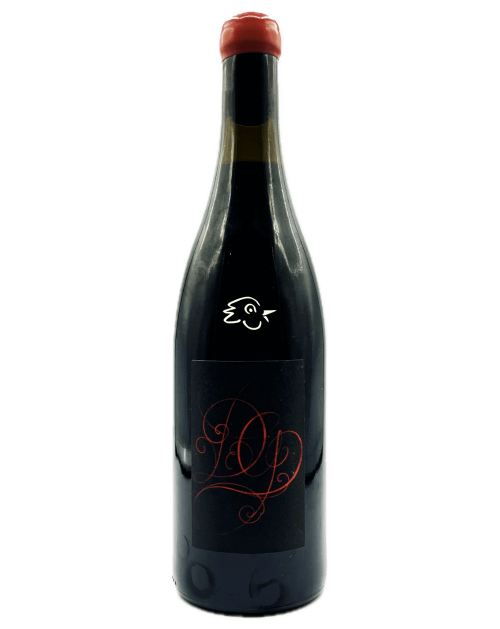 Damien Guadagnolo - Gamay 2022 - Avintures