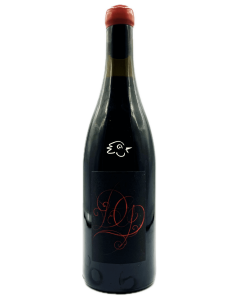 Damien Guadagnolo - Gamay 2022 - Avintures