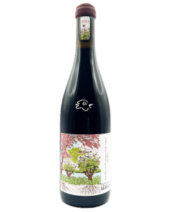 Domaine Mayard - Lirac Rouge 2024 - Avintures