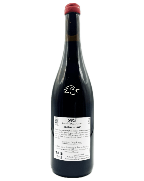 Corentin Houillon - Gamay de Chautagne Vieux Foug 2024 - Avintures