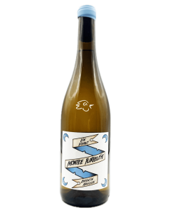 Corentin Houillon - Jacquère Montée Furieuse 2024 - Avintures