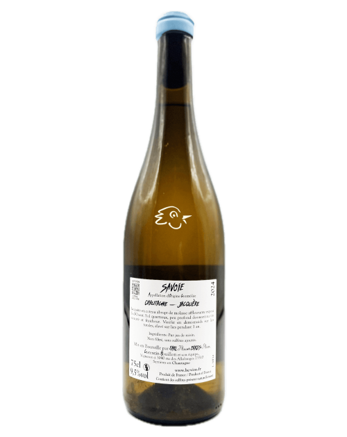 Corentin Houillon - Jacquère Montée Furieuse 2024 - Avintures