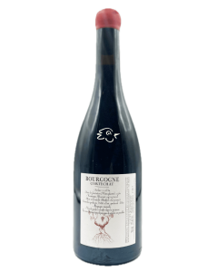 Domaine Alain & Raphael - Bourgogne Cortechat Rouge 2023 - Avintures