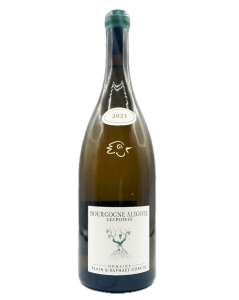 Domaine Alain & Raphael - Aligoté Les Potets 2023 Magnum - Avintures