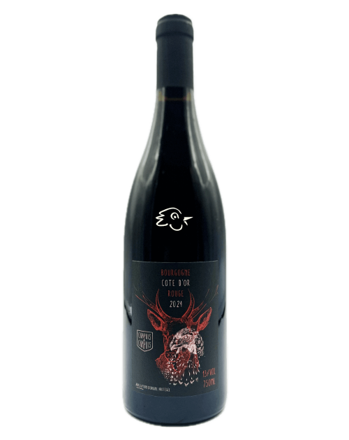 Les Frères Chapuis - Bourgogne Côte d'Or Rouge 2024 - Avintures