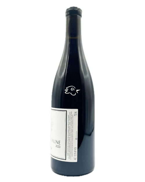 SAISONS - Savigny-Lès-Beaune 2023 - Avintures