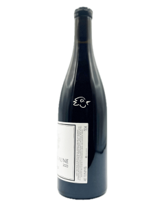 SAISONS - Savigny-Lès-Beaune 2023 - Avintures