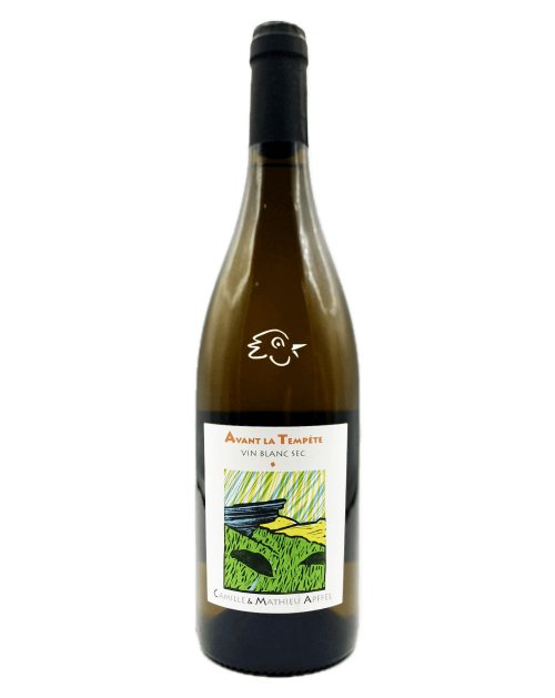 Matthieu Apffel - Avant la Tempête 2024 - Avintures