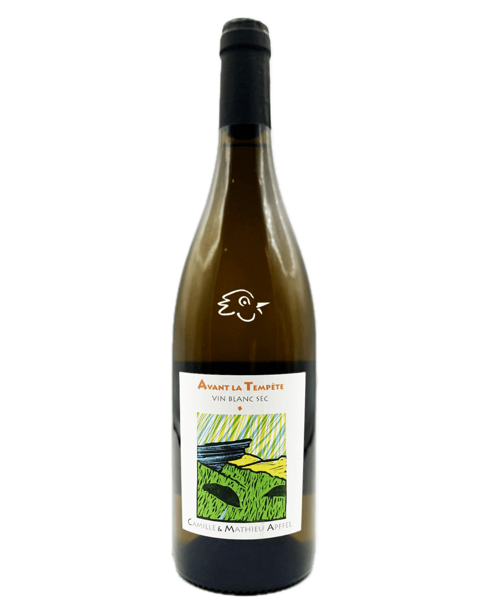 Matthieu Apffel - Avant la Tempête 2024 - Avintures