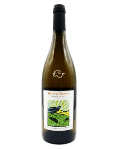 Matthieu Apffel - Avant la Tempête 2024 - Avintures