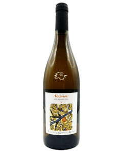 Matthieu Apffel - Soleyane Blanc 2024 - Avintures