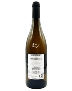 Matthieu Apffel - Soleyane Blanc 2024 - Avintures