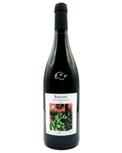 Matthieu Apffel - Soleyane Rouge 2024 - Avintures