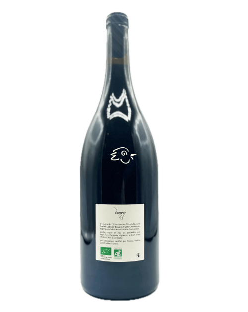 Domaine Jean-Yves Devevey - Volnay 2019 Magnum - Avintures