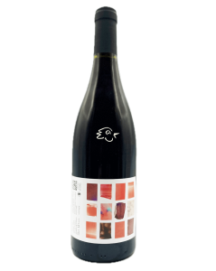 Raphaelle Guyot - Gamay Moria Rouge 2024 - Avintures