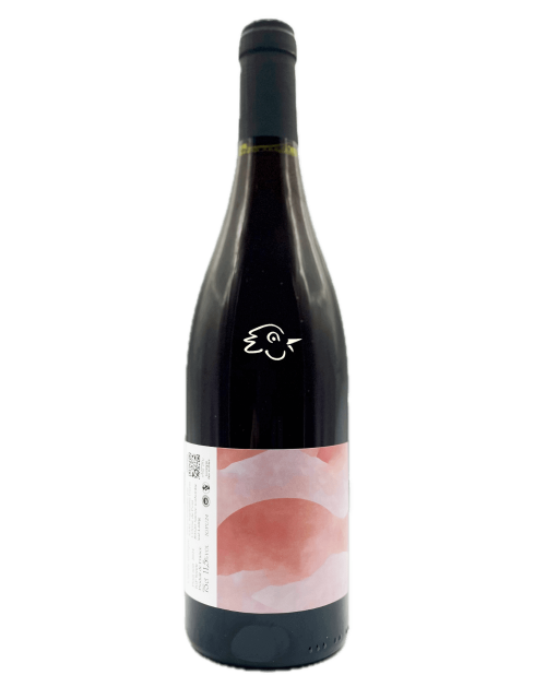 Raphaelle Guyot - Cuvée Unique Rouge 2024 - Avintures