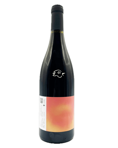 Raphaelle Guyot - Kalos Rouge 2024 - Avintures