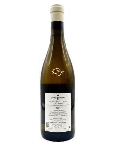 Jeremy Recchione - Bourgogne Aligoté Les Cerisiers 2024 - Avintures