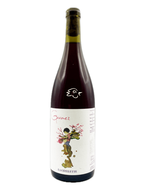 La Côtelette - Benoit Kilian - Gaamez 2024 - Avintures