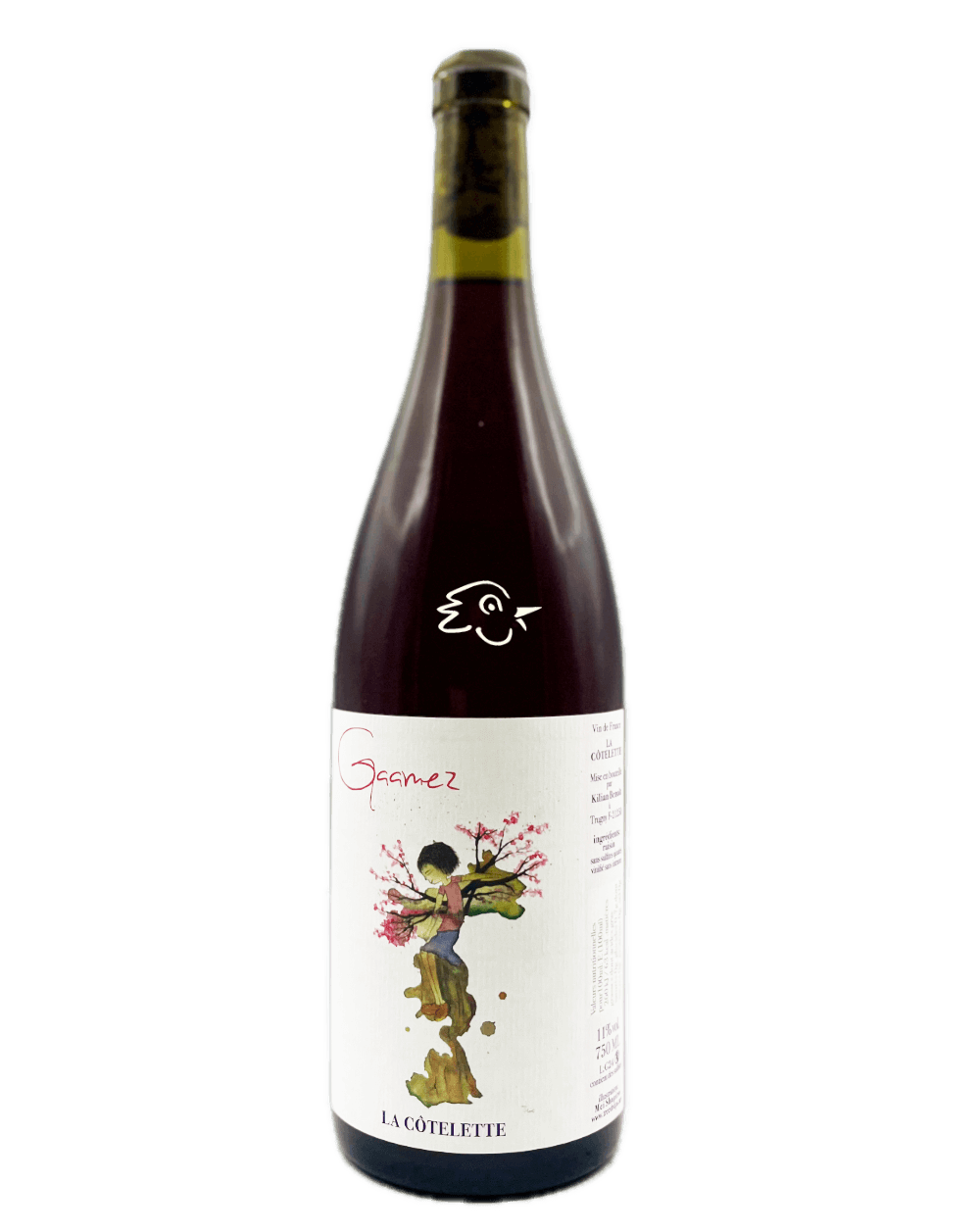 La Côtelette - Benoit Kilian - Gaamez 2024 - Avintures