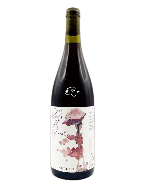 La Côtelette - Benoit Kilian - Right Pinot 2024 - Avintures
