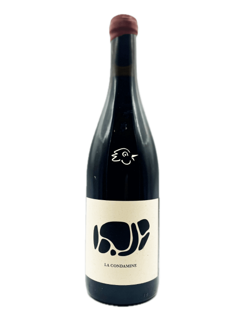 Les Bariolés - Gamay La Condamine 2024 - Avintures