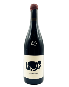 Les Bariolés - Gamay La Condamine 2024 - Avintures