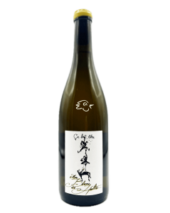 Damien Bastian - Ca Boit Libre - Mon Blanc des Alpes 2024 - Avintures