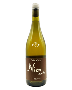 Saint-Cyr - Alien MMXXII - Avintures