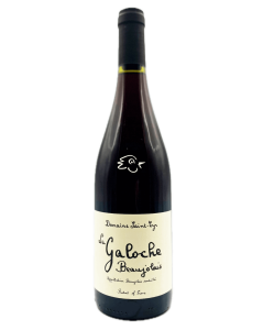 Saint-Cyr - La Galoche Rouge 2024 - Avintures